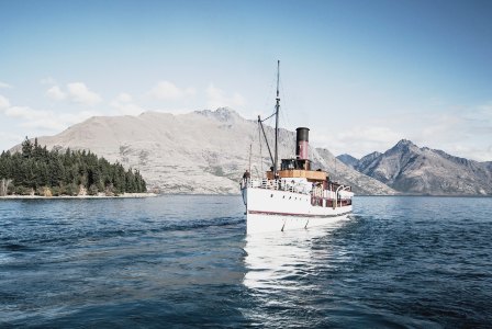 Dead Fish will Fuel&nbsp;Ships