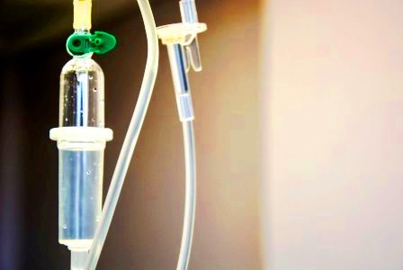 Rise in Temperature could Lead to the Spread of Fatal&nbsp;Viruses