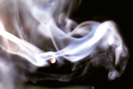 Smoking Harming the&nbsp;Environment